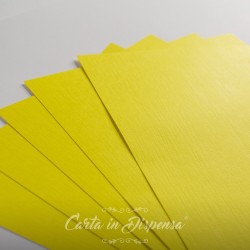 Conf. JEANS giallo limone 290g