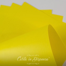 Conf. JEANS giallo limone 290g