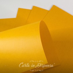 Conf. JEANS arancio 290g