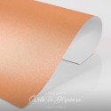 Conf. SABBIATA salmone 190g