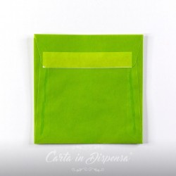 Conf. Buste TRASLUCIDA Verde Lime 16x16