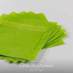 Conf. Buste TRASLUCIDA Verde Lime 16x16