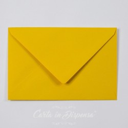 Conf. Buste ruvida giallo senape 12x18