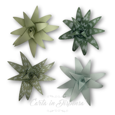 KIT pretagliato Aloe Vera