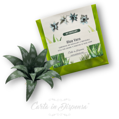 KIT pretagliato Aloe Vera