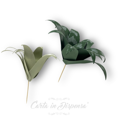 KIT pretagliato Aloe Vera