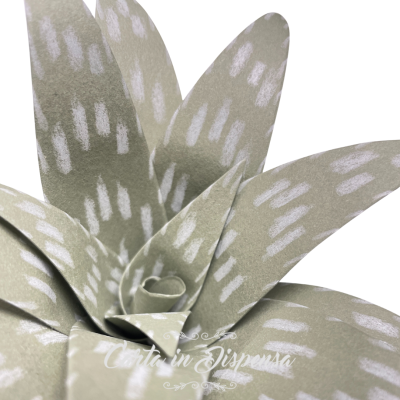 KIT pretagliato Aloe Vera