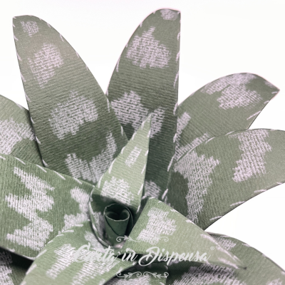 KIT pretagliato Aloe Vera