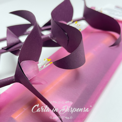 KIT pretagliato Tradescantia