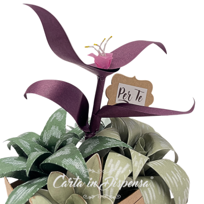 KIT pretagliato Tradescantia