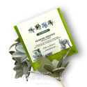 KIT pretagliato kalanchoe tomentosa