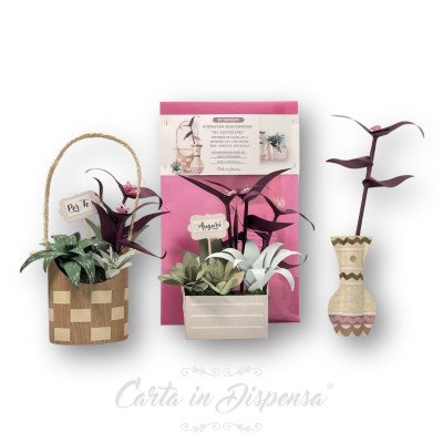 KIT Atmosfera Mediterranea (3 contenitori)