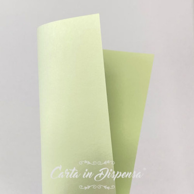 Conf. RUVIDA verde chiaro 270g