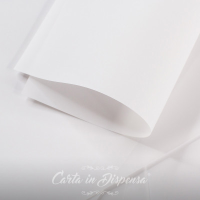 Conf. TRASLUCIDA extrawhite 100g