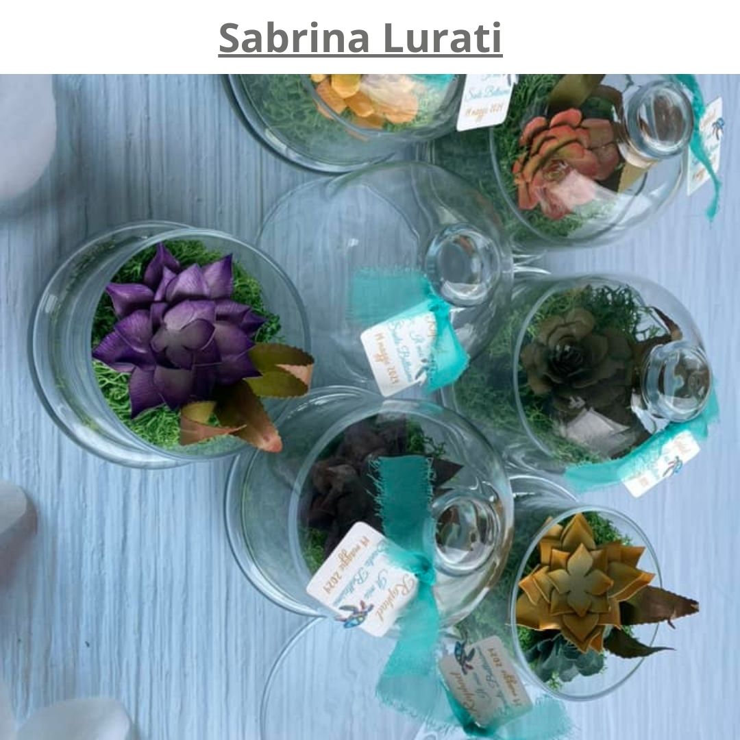 piante grasse in carta