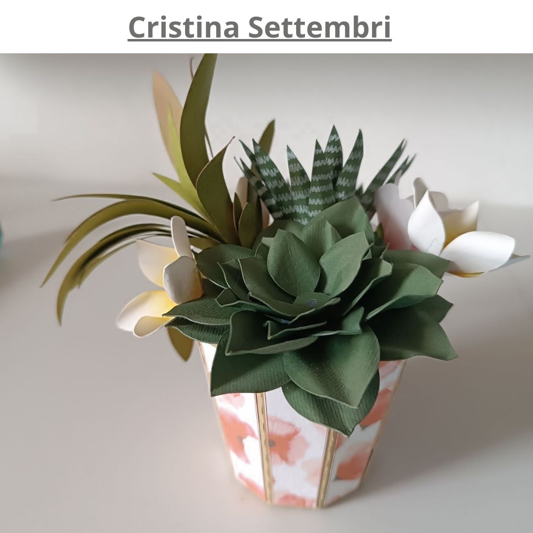 piante grasse in carta