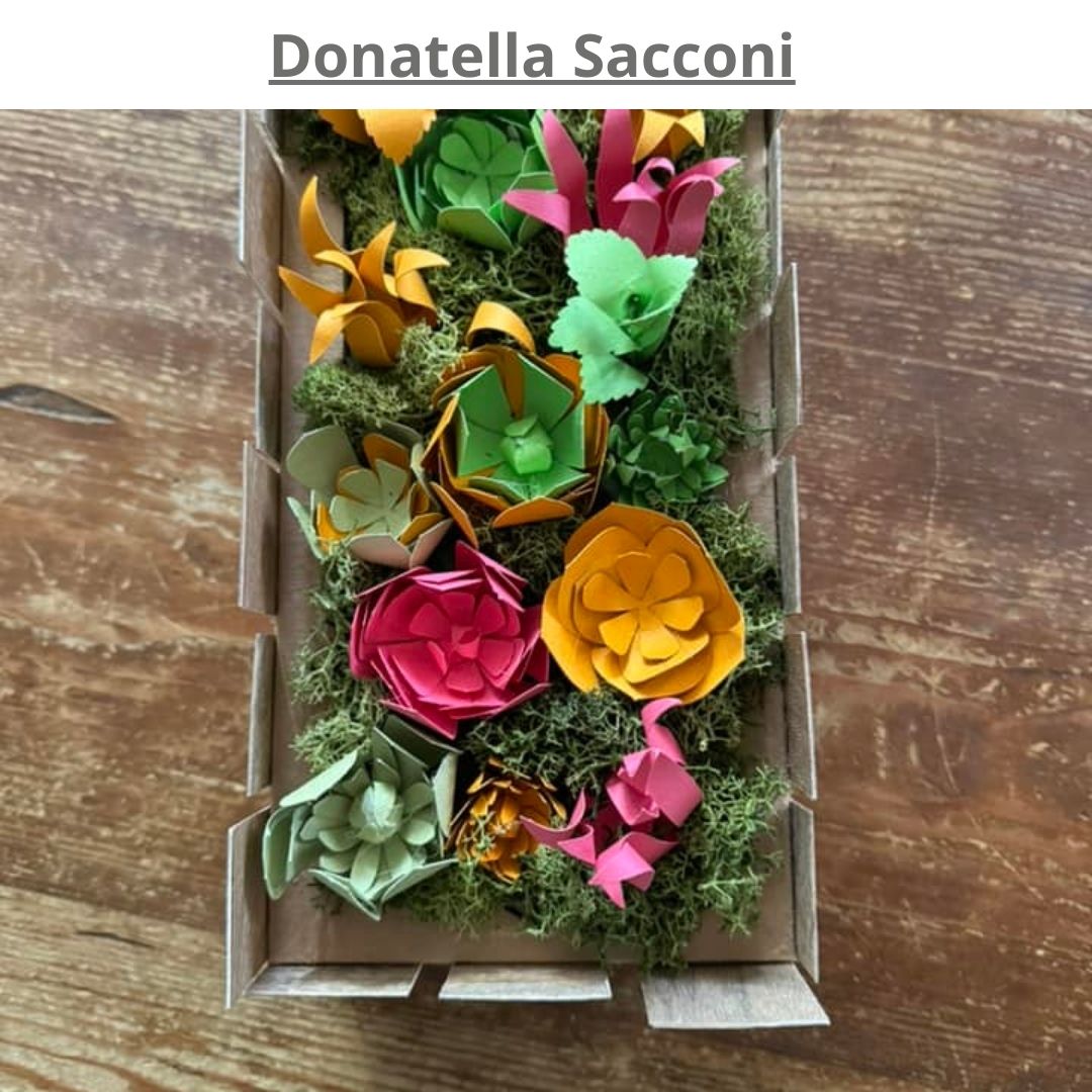 piante grasse in carta