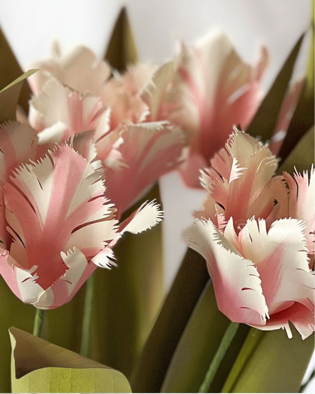 Dettagli tulipani
