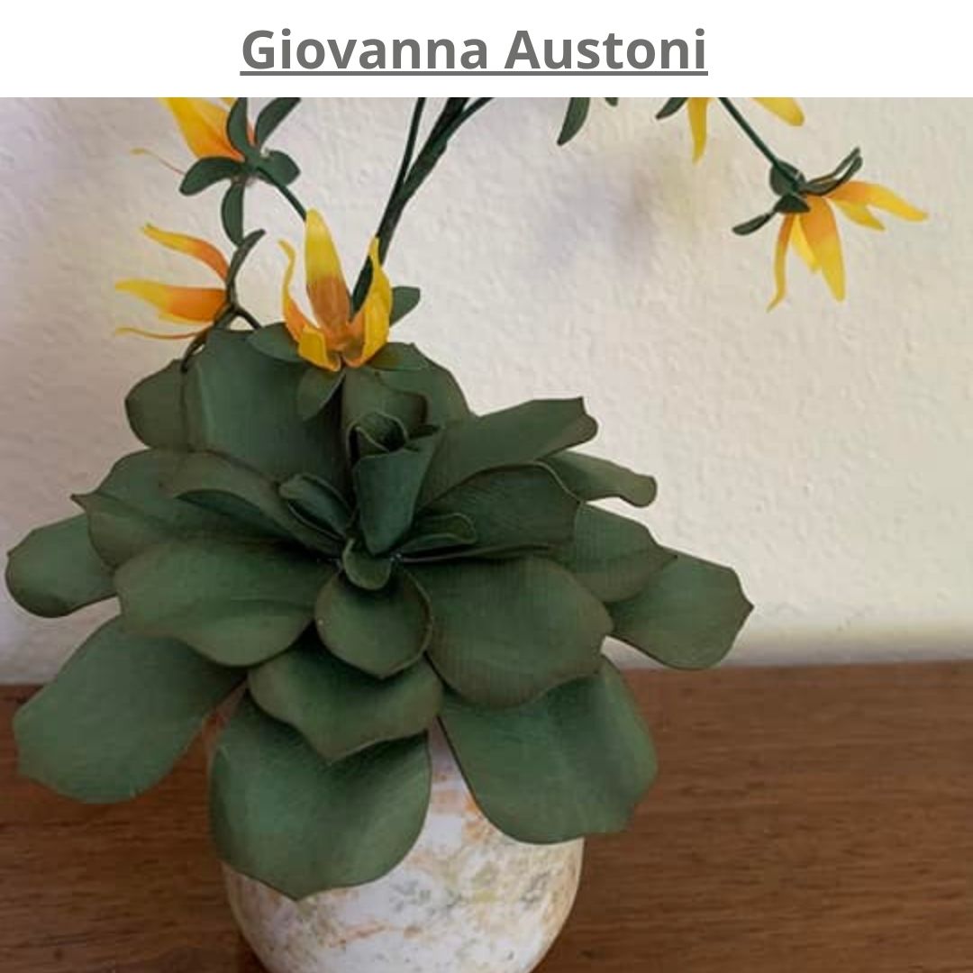 piante grasse in carta