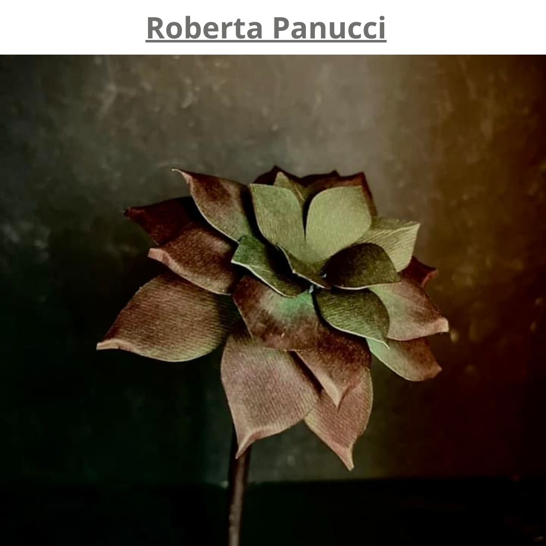 piante grasse in carta