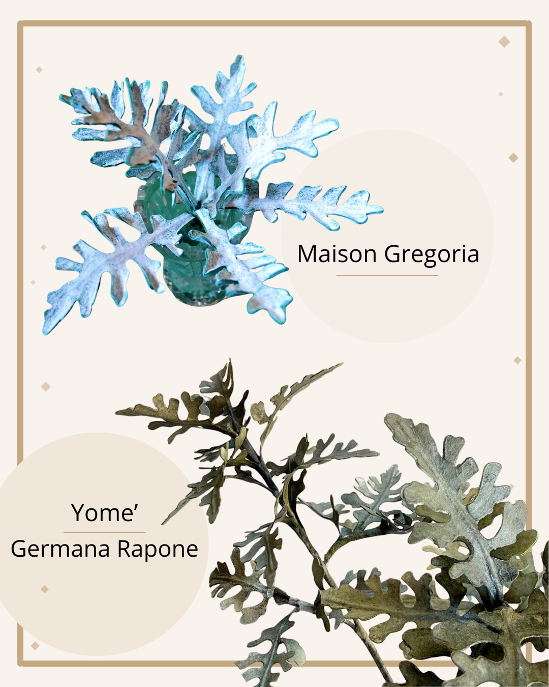 Colorazione della Cineraria con PanPastel