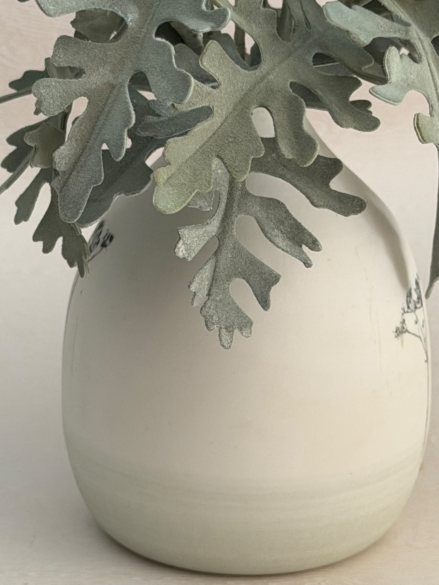 Cineraria di carta in vaso