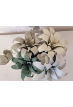 Photo from customer for KIT pretagliato Aloe Vera