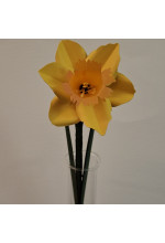 Photo from customer for Conf. TRASLUCIDA arancio 100g