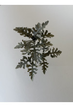 Photo from customer for Conf. RUVIDA verde lichene 290g