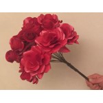 Photo from customer for Conf. PERLATA metallizzata rosso 120g