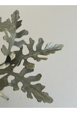 Photo from customer for Conf. RUVIDA verde lichene 290g
