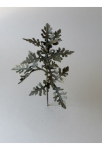 Photo from customer for Conf. RUVIDA verde lichene 290g