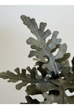 Photo from customer for Conf. RUVIDA verde lichene 290g
