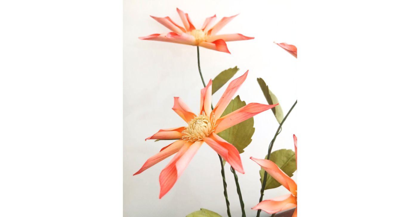 Orchidea Dahlia di carta: il progetto di Teresa Masullo
